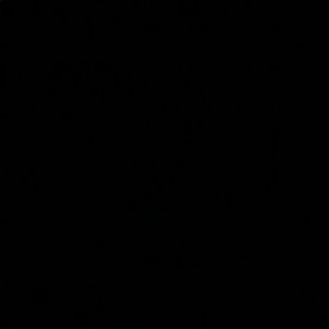 Meet your Posher, Sal